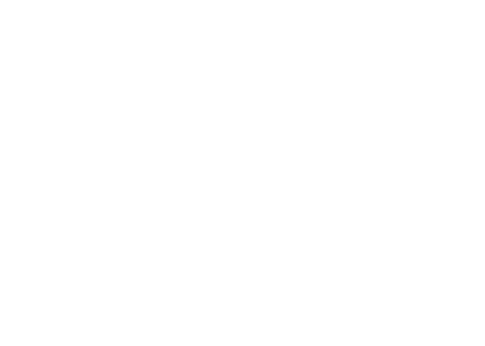 dw_capital